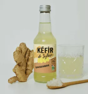 kéfir de sylvie - kefir de fruits fermentés en Alsace par Le Labo Dumoulin. Disponible dans la grande distribution partout en France. Bouteille de boisson pétillante au gingembre.