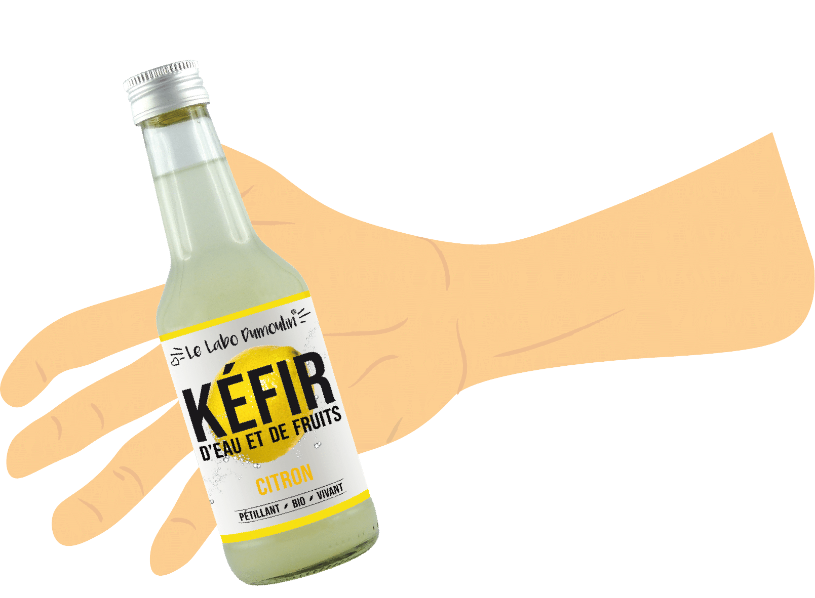 Le Labo Dumoulin : producteur de kefir de fruits et legumes