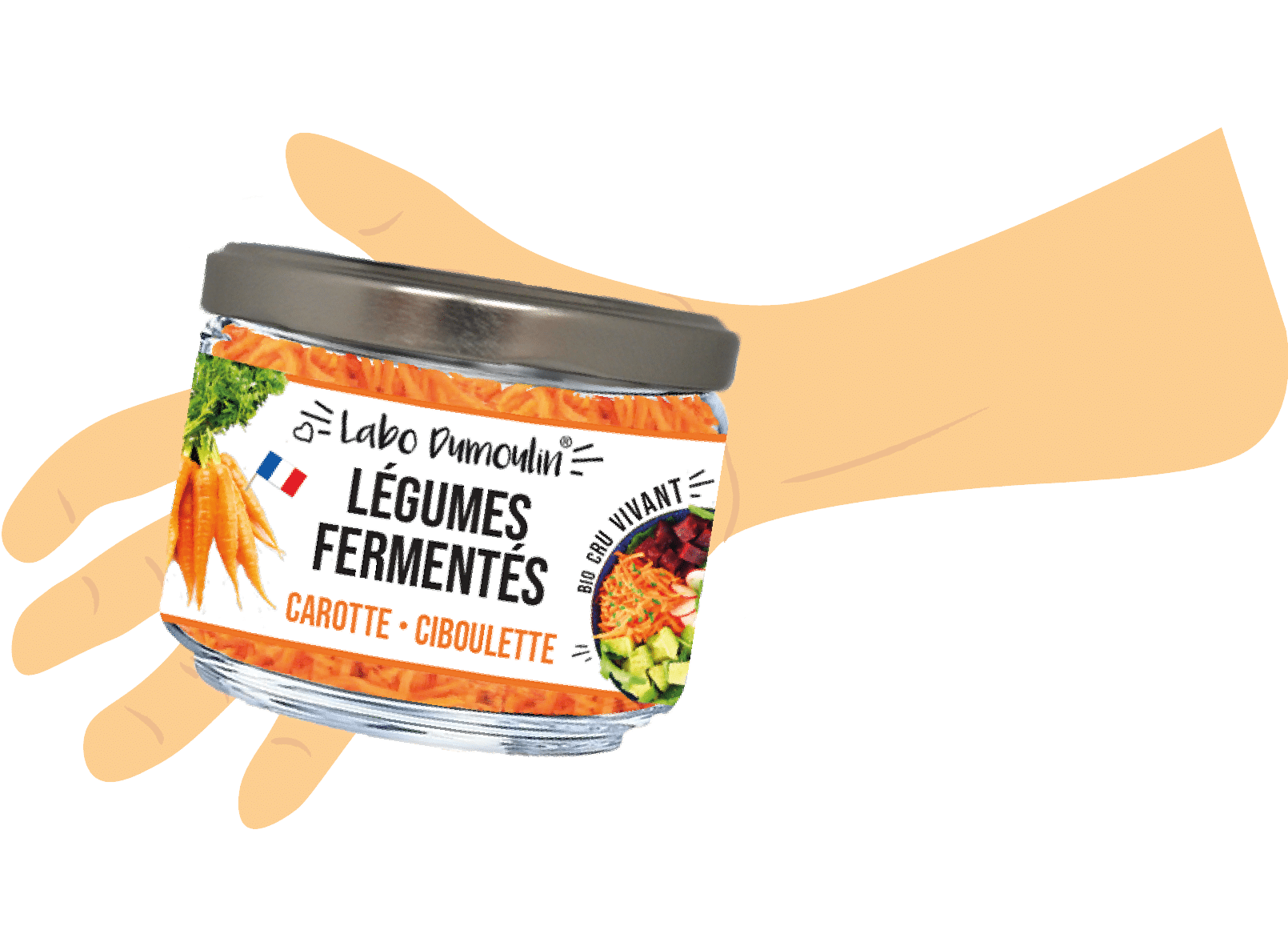 illustration mains legumes