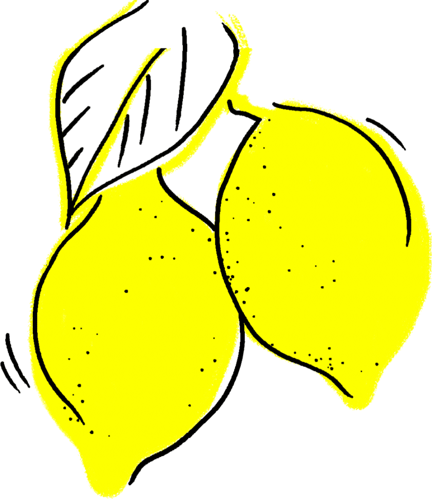 citrons labo moulin