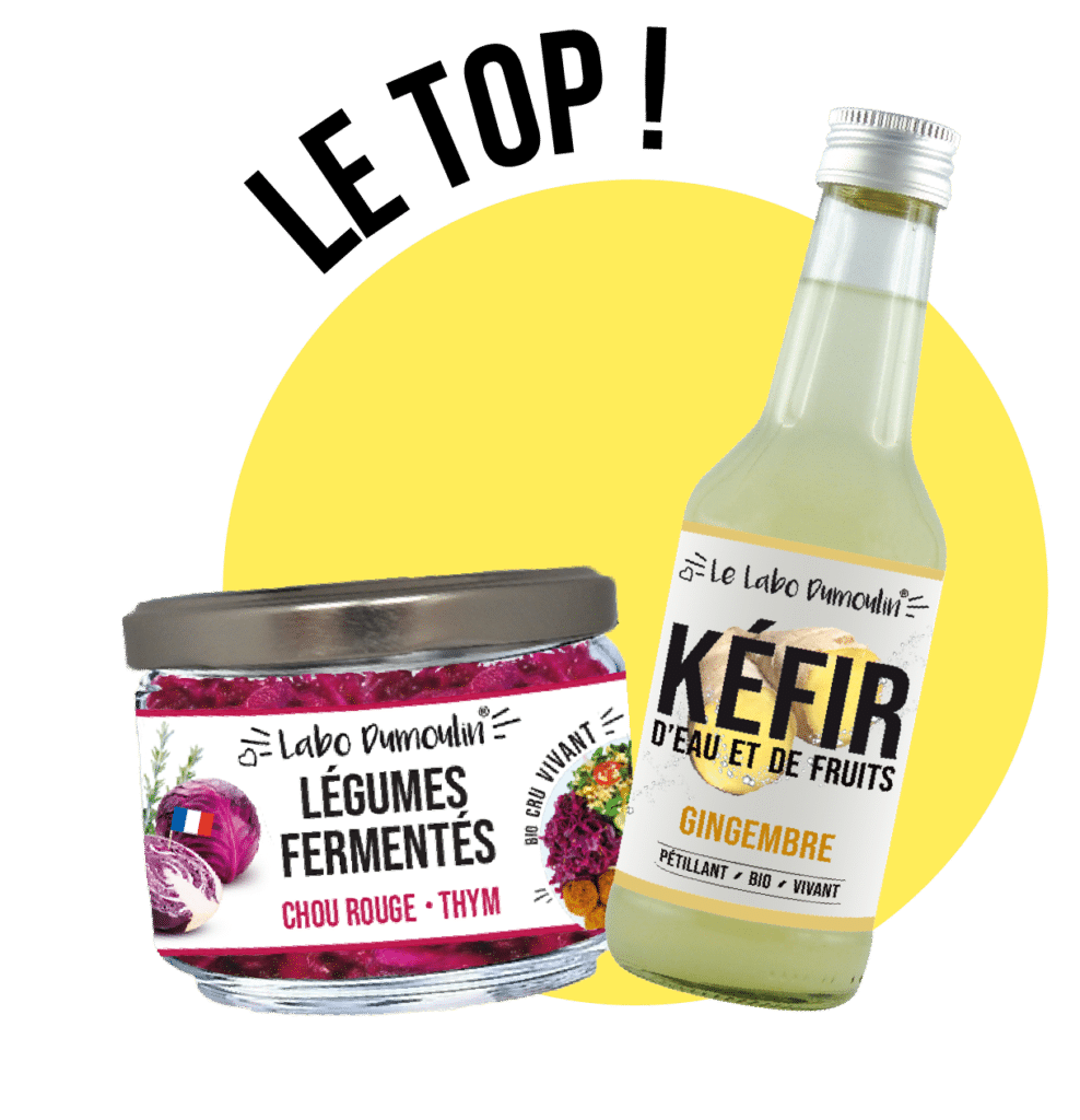 la labo dumoulin kefir legumes fermentes