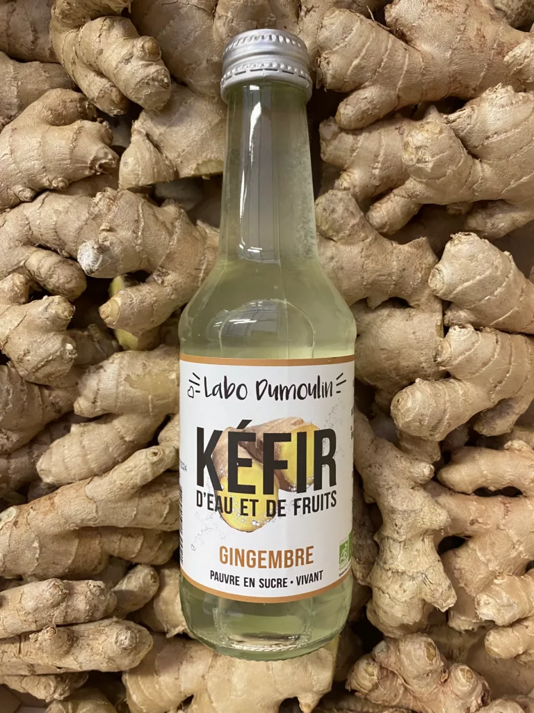 kefir de fruits le labo dumoulin gingembre