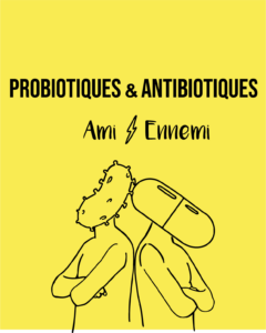 Antibiotiques vs probiotiques amis ennemis