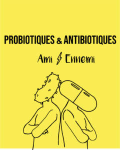 Antibiotiques vs probiotiques amis ennemis. boire du kéfir de fruits pendant la prise d'antibiotique