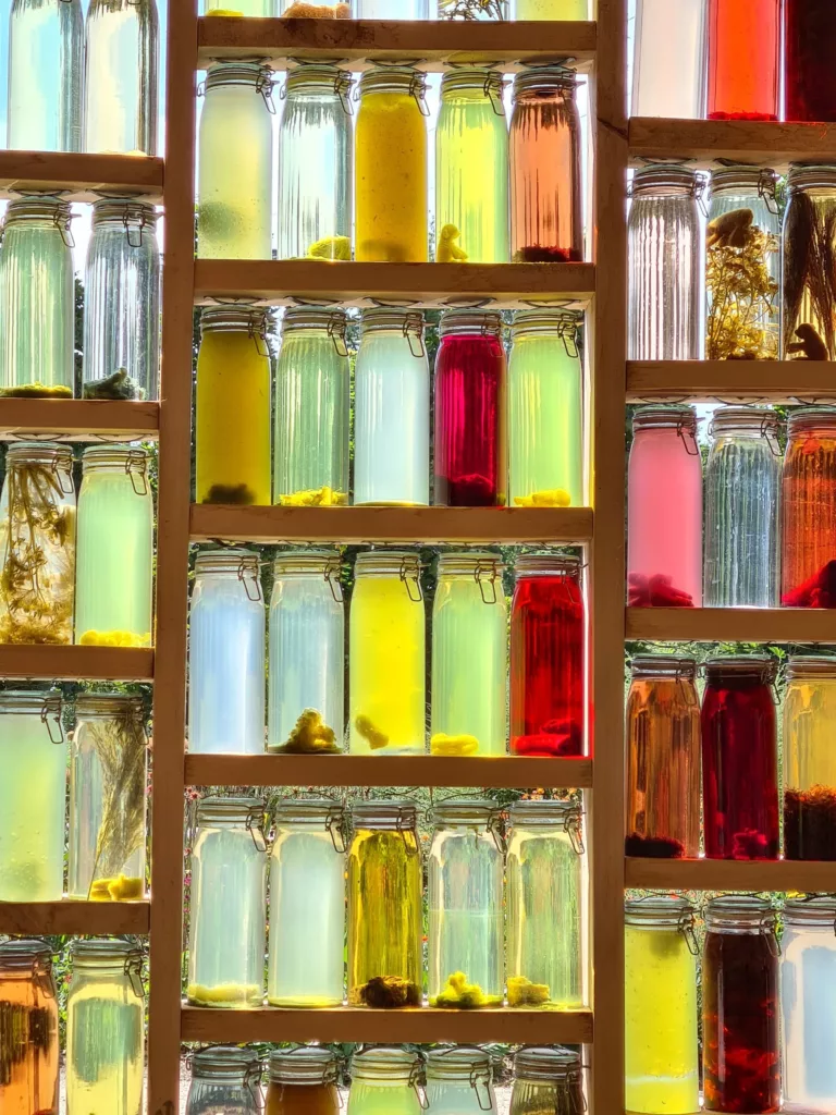 classement des meilleurs boissons fermentés artisanales