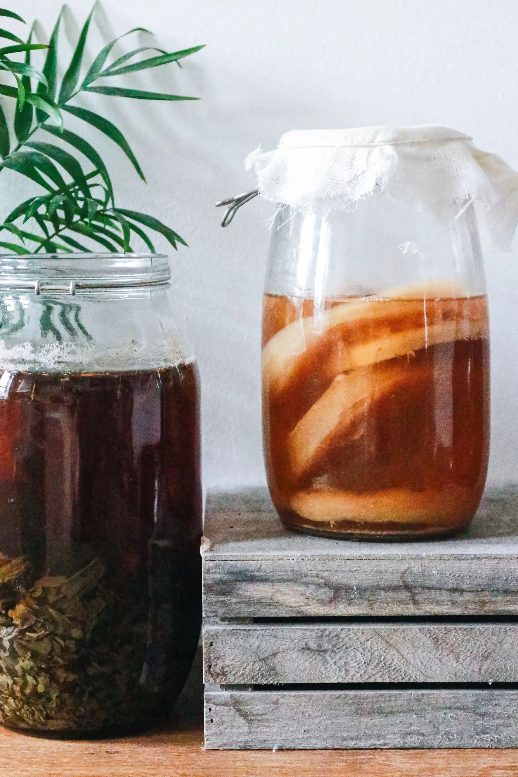 kombucha, quelle est la meilleure boisson fermentée ?